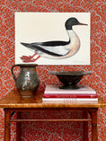 Load image into Gallery viewer, Seven Vintage Bird Prints From Sweden
