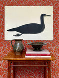 Load image into Gallery viewer, Seven Vintage Bird Prints From Sweden