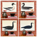 Load image into Gallery viewer, Seven Vintage Bird Prints From Sweden