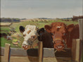 Load image into Gallery viewer, Vintage Art Room Original Oil Painting of Calves From Sweden