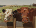 Load image into Gallery viewer, Vintage Art Room Original Oil Painting of Calves From Sweden