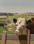 Load image into Gallery viewer, Vintage Art Room Original Oil Painting of Calves From Sweden