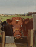 Load image into Gallery viewer, Vintage Art Room Original Oil Painting of Calves From Sweden