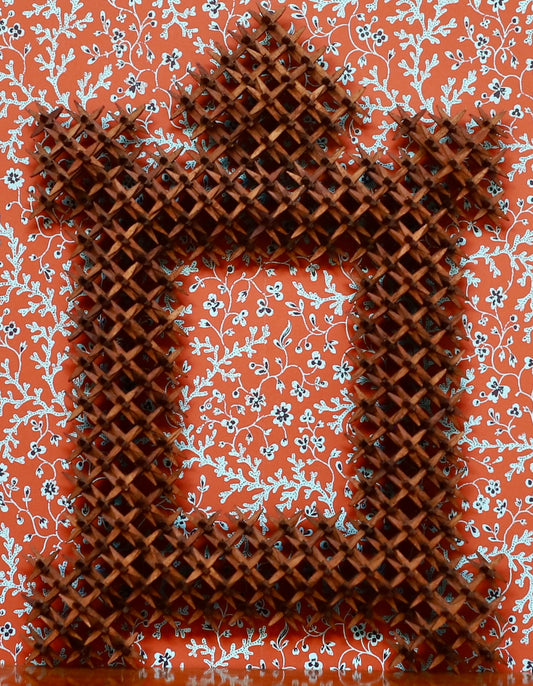 Vintage Art Room Crown of Thorns Tramp Art Frame Sweden