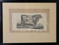 Load image into Gallery viewer, Three Vintage Cow Prints From Sweden