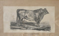 Load image into Gallery viewer, Three Vintage Cow Prints From Sweden