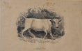Load image into Gallery viewer, Three Vintage Cow Prints From Sweden