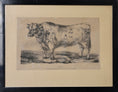 Load image into Gallery viewer, Three Vintage Cow Prints From Sweden