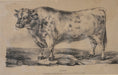Load image into Gallery viewer, Three Vintage Cow Prints From Sweden