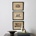Load image into Gallery viewer, Three Vintage Cow Prints From Sweden