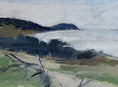 Load image into Gallery viewer, Mid Century Original Coastal Oil Painting Sweden
