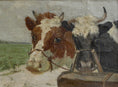 Load image into Gallery viewer, Vintage Art Room Original Oil Painting of Calves From Sweden