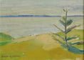 Load image into Gallery viewer, Pair of Vintage Mid Century Original Coastal Oil Paintings