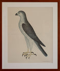 Load image into Gallery viewer, Pair of Vintage Framed Bird Prints From Sweden