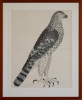 Load image into Gallery viewer, Pair of Vintage Framed Bird Prints From Sweden