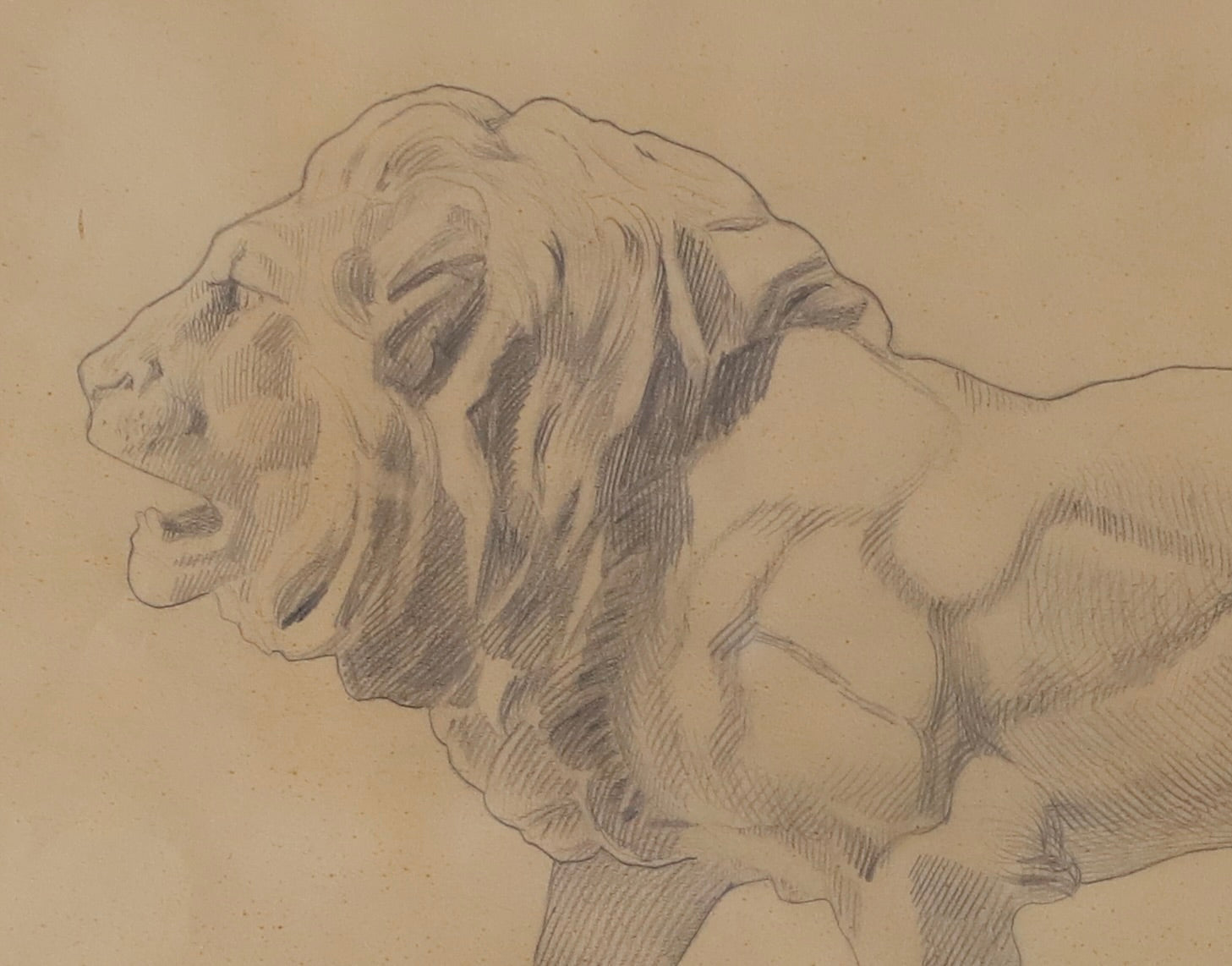 Art School Drawing of Lion Sculpture From Sweden