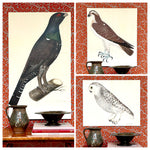 Seven Vintage Bird Prints From Sweden