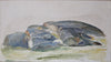 Vintage Art Room Mid Century Landscape Oil Painting From Sweden