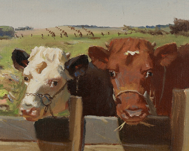 Vintage Art Room Original Oil Painting of Calves From Sweden