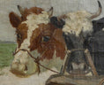 Load image into Gallery viewer, Vintage Art Room Original Oil Painting of Calves From Sweden
