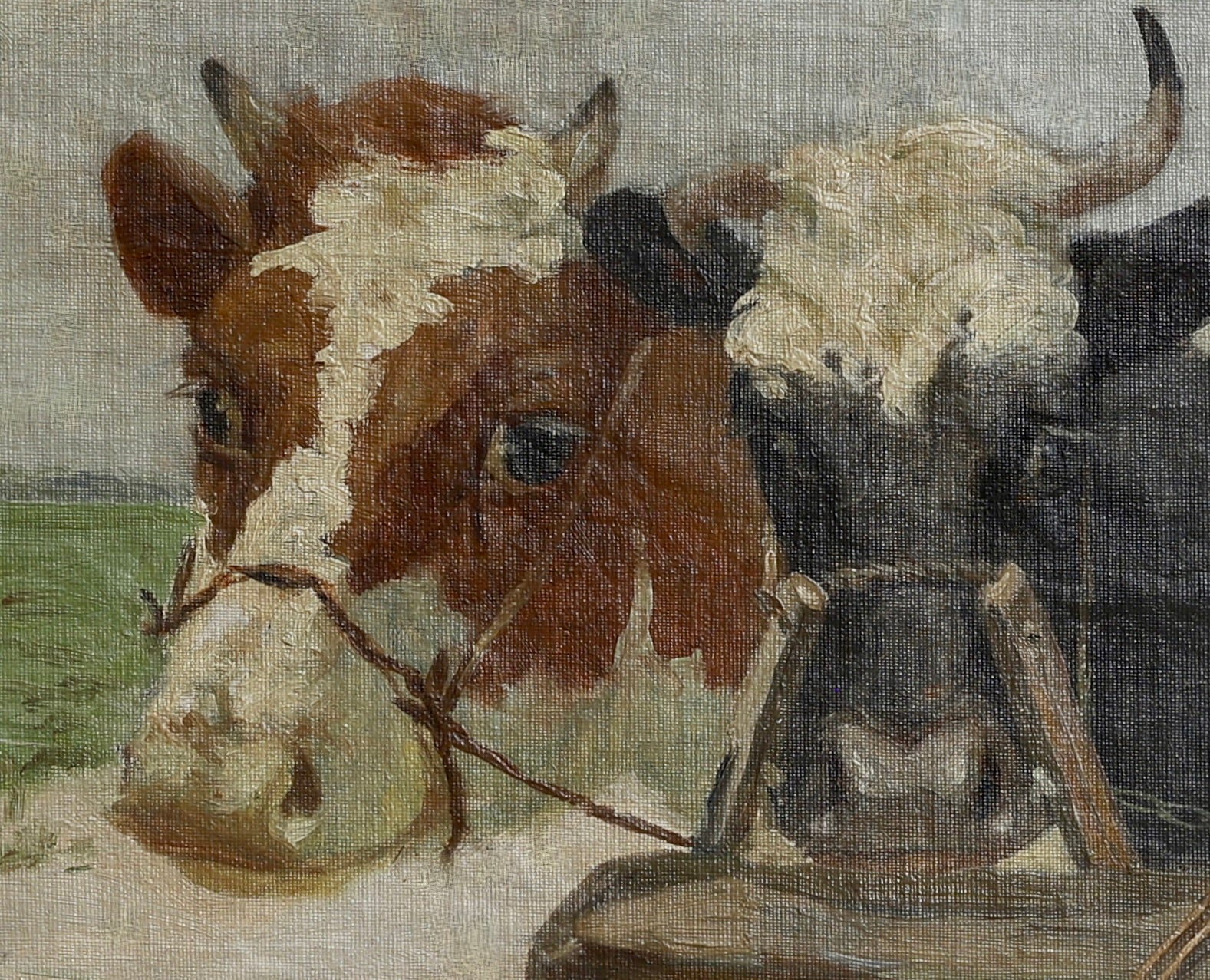 Vintage Art Room Original Oil Painting of Calves From Sweden