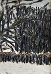 Vintage Art Original Winterscape Oil Painting From Sweden