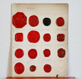 Load image into Gallery viewer, Heraldic Wax Seals of Counts From Sweden
