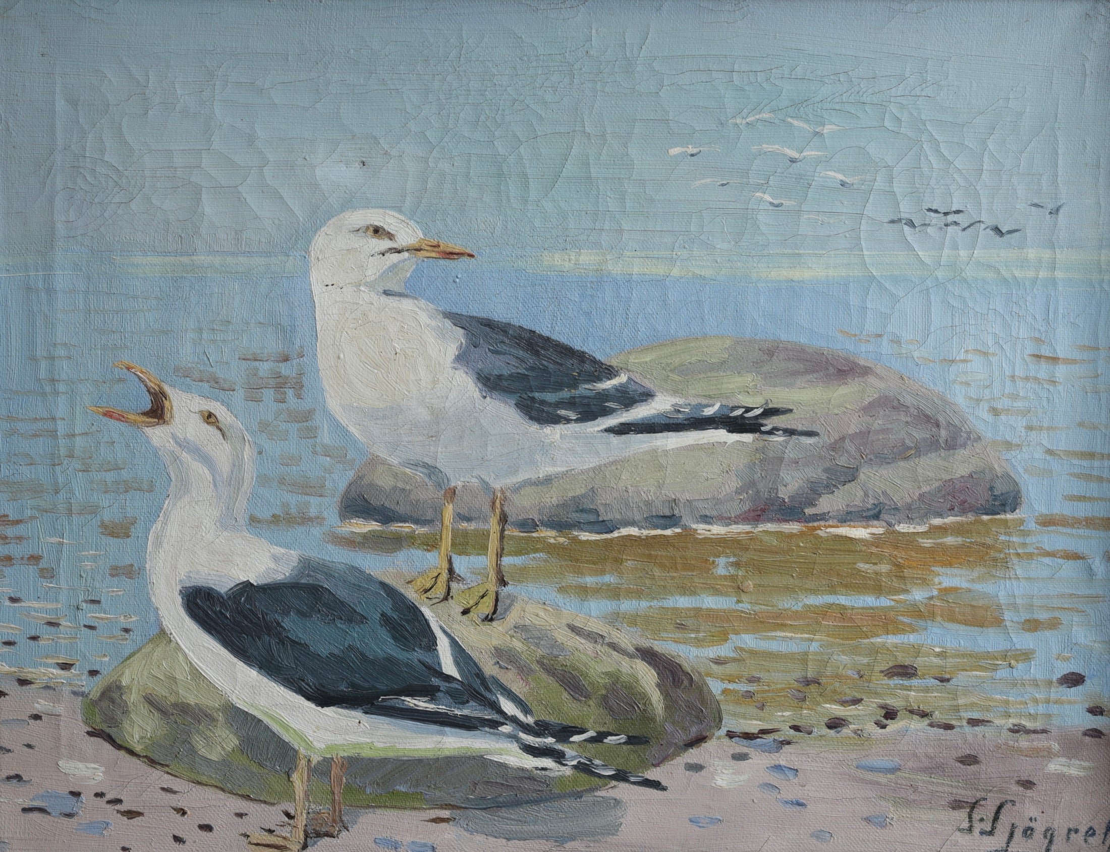 Vintage Original Oil Painting of Seagulls from Sweden