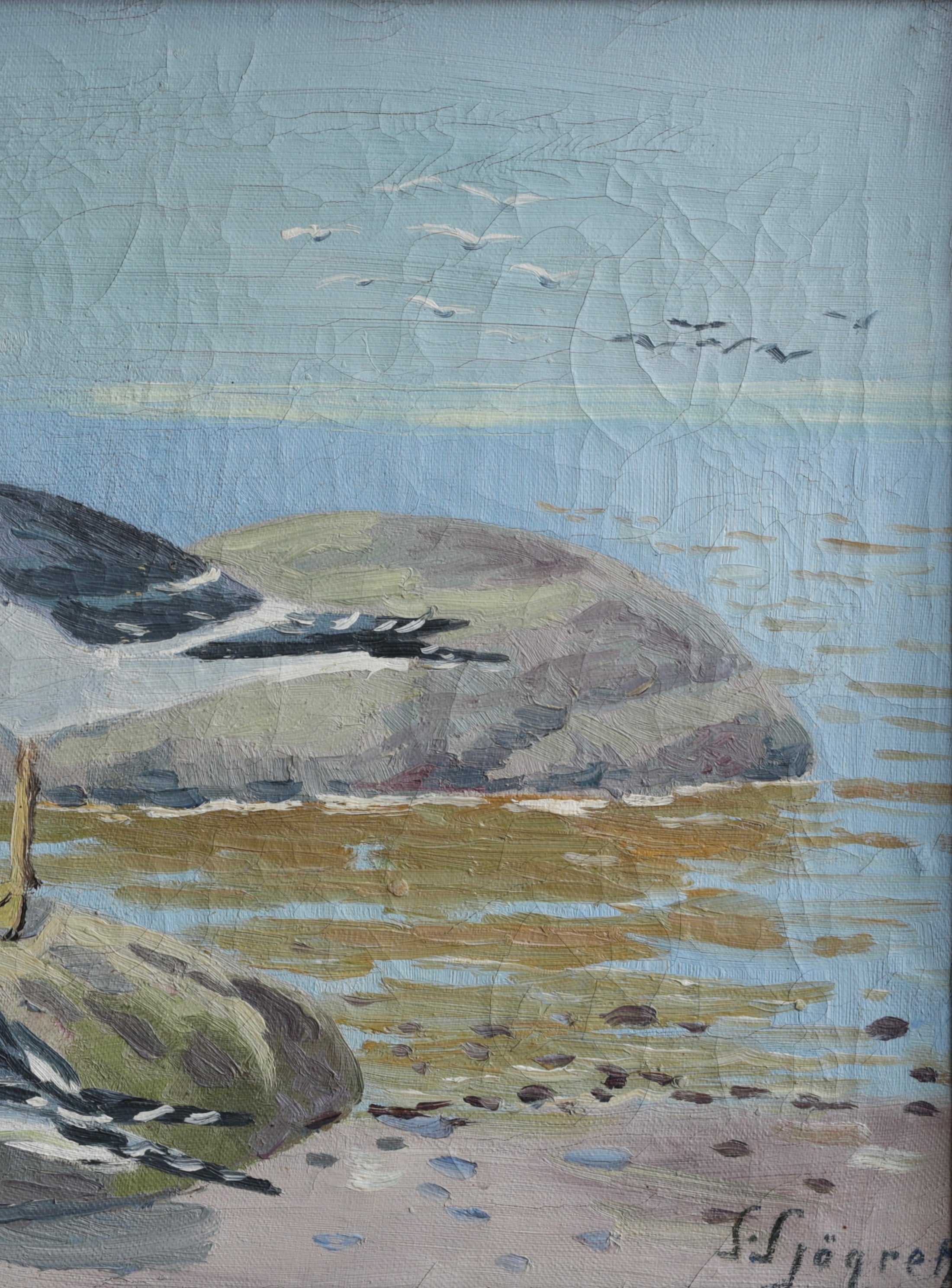 Vintage Original Oil Painting of Seagulls from Sweden