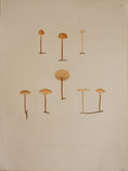 Load image into Gallery viewer, Set of Four Vintage Mushroom Prints from Sweden
