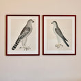 Load image into Gallery viewer, Pair of Vintage Framed Bird Prints From Sweden
