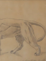 Antique Art School Drawing of Lion Sculpture From Sweden