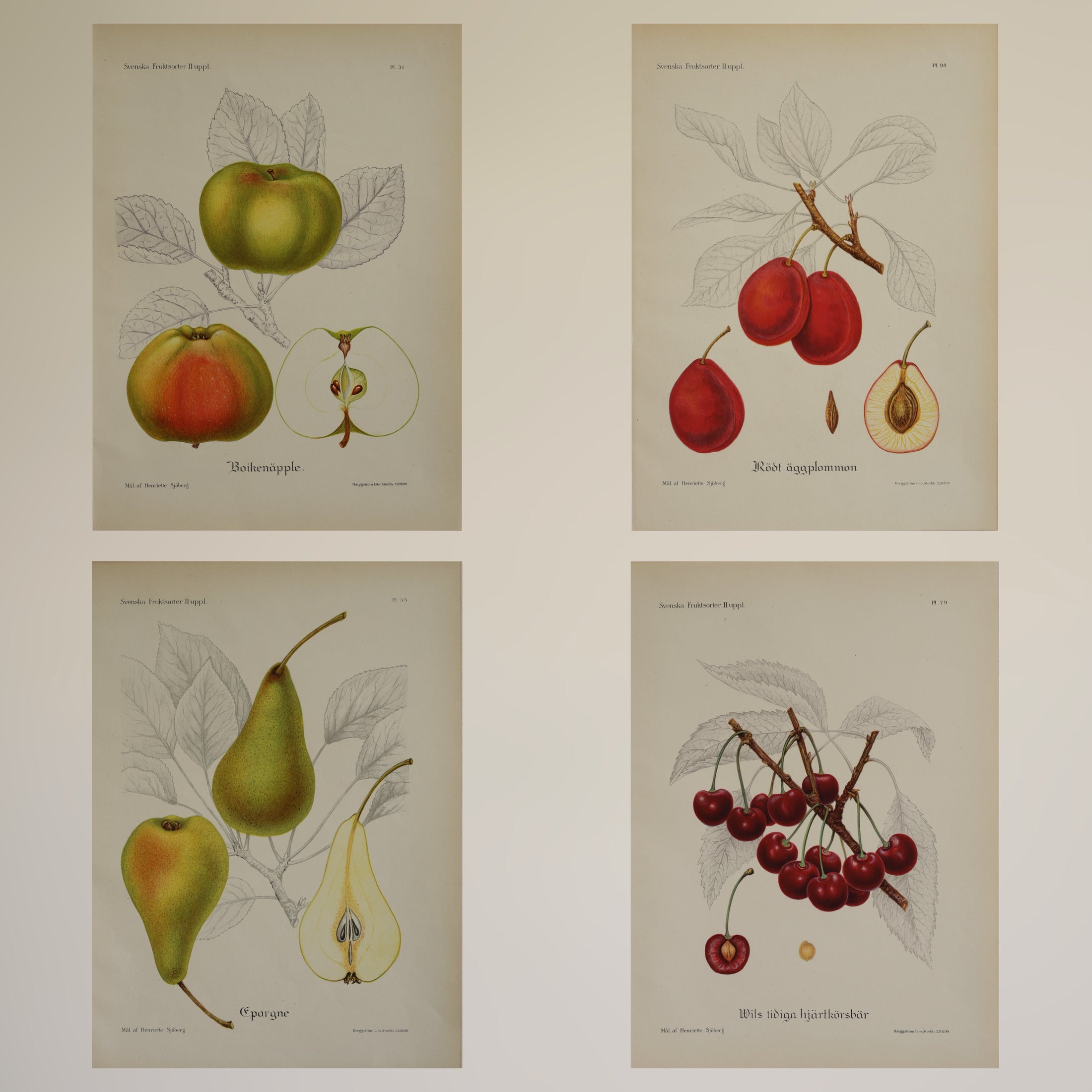 Colorful Vintage Botanicals of Fruit from Sweden