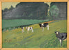 Mid Century Oil Painting Calves By Bengtsson Sweden