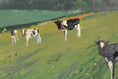 Load image into Gallery viewer, Mid Century Oil Painting Calves from Sweden
